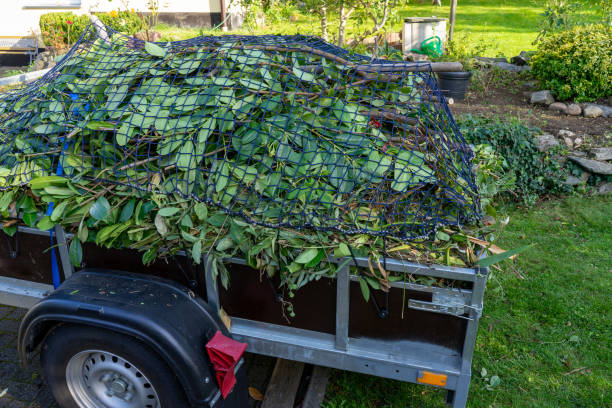 Best Carpet Removal and Disposal  in Millington, NJ